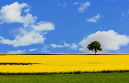 1182997 (a): :2500x1597